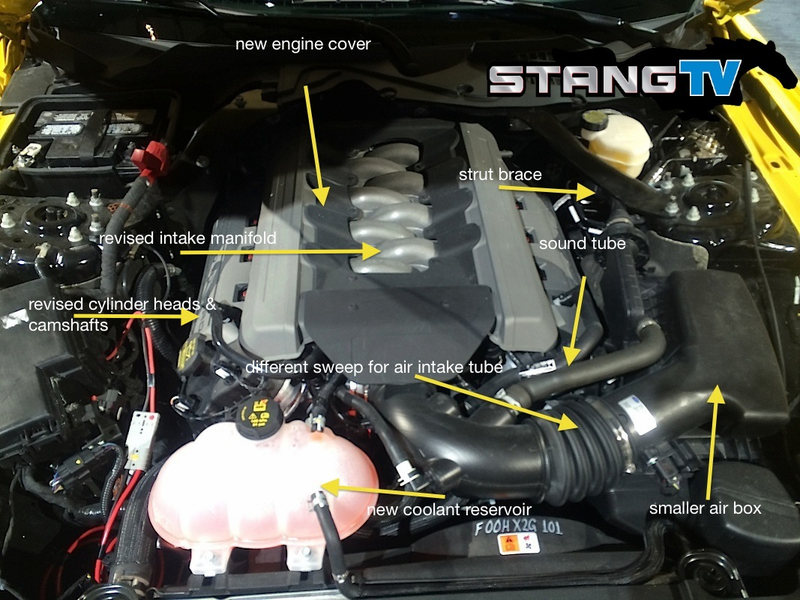 Illustration for article titled This Is The Glorious 5.0 V8 Under The Hood Of The 2015 Ford Mustang
